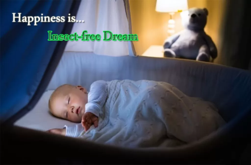 Happiness is Insect-free dream