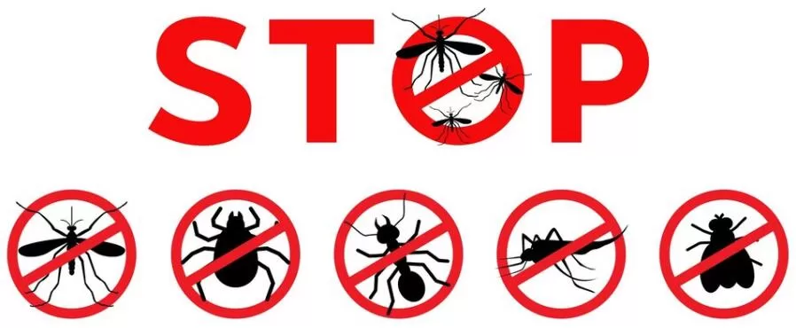 Stop Mosquitoes