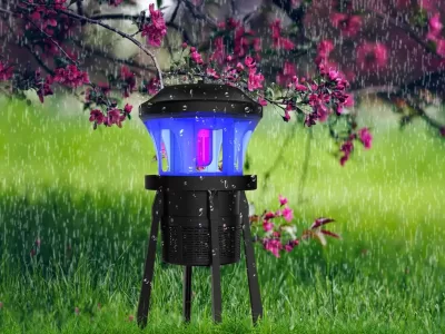 Popular and patent outdoor insect trap
